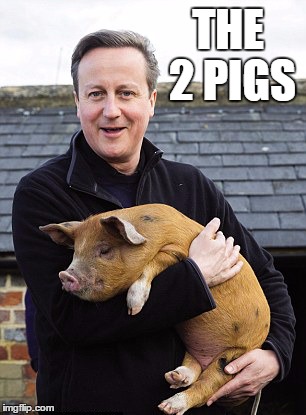 The 2 Pigs (Cheltenham) | THE 2 PIGS | image tagged in david,cameron,the,2,pigs,cheltenham | made w/ Imgflip meme maker