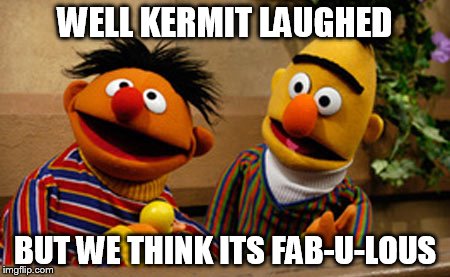 bert and ernie | WELL KERMIT LAUGHED BUT WE THINK ITS FAB-U-LOUS | image tagged in bert and ernie | made w/ Imgflip meme maker
