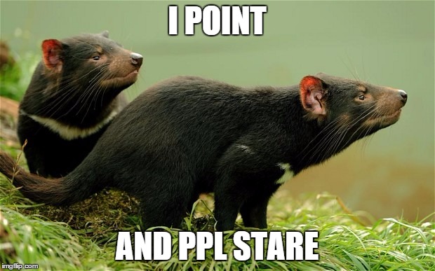 I POINT AND PPL STARE | image tagged in i point | made w/ Imgflip meme maker