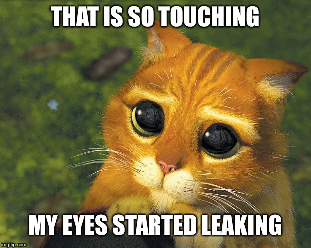 So touching | THAT IS SO TOUCHING MY EYES STARTED LEAKING | image tagged in sad kitten | made w/ Imgflip meme maker