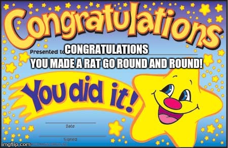 Happy Star Congratulations | CONGRATULATIONS YOU MADE A RAT GO ROUND AND ROUND! | image tagged in memes,happy star congratulations | made w/ Imgflip meme maker