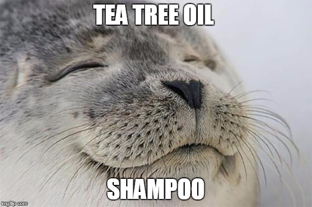 Satisfied Seal | TEA TREE OIL SHAMPOO | image tagged in memes,satisfied seal | made w/ Imgflip meme maker