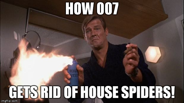HOW 007 GETS RID OF HOUSE SPIDERS! | image tagged in roger moore | made w/ Imgflip meme maker