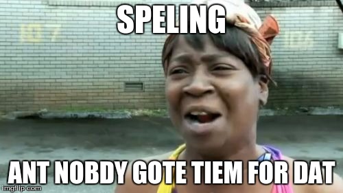 Ain't Nobody Got Time For That | SPELING ANT NOBDY GOTE TIEM FOR DAT | image tagged in memes,aint nobody got time for that | made w/ Imgflip meme maker