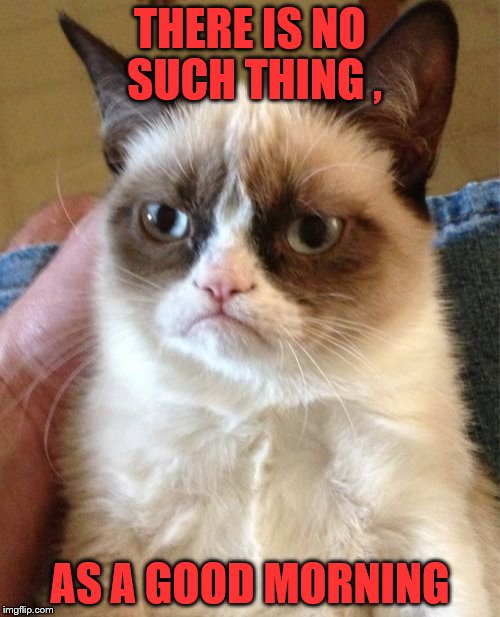 Grumpy Cat | THERE IS NO SUCH THING , AS A GOOD MORNING | image tagged in memes,grumpy cat | made w/ Imgflip meme maker