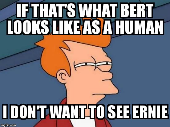 Futurama Fry Meme | IF THAT'S WHAT BERT LOOKS LIKE AS A HUMAN  I DON'T WANT TO SEE ERNIE | image tagged in memes,futurama fry | made w/ Imgflip meme maker