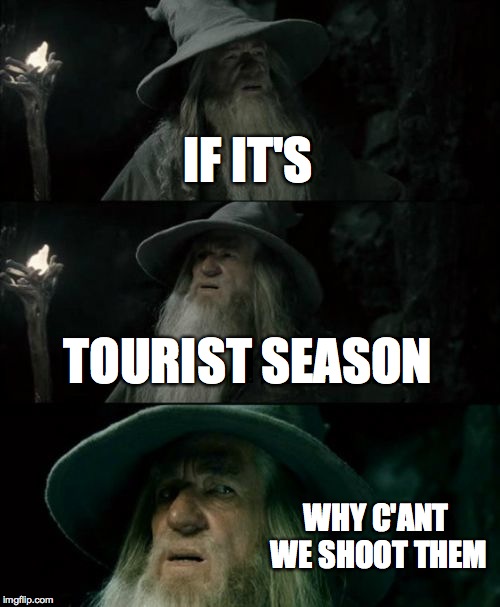Confused Gandalf Meme | IF IT'S TOURIST SEASON WHY C'ANT WE SHOOT THEM | image tagged in memes,confused gandalf | made w/ Imgflip meme maker