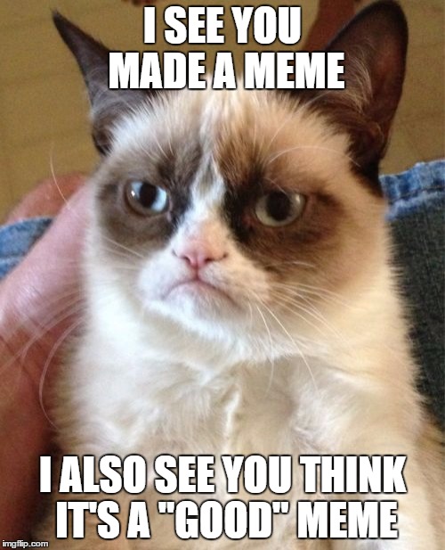 Grumpy Cat Meme | I SEE YOU MADE A MEME I ALSO SEE YOU THINK IT'S A "GOOD" MEME | image tagged in memes,grumpy cat | made w/ Imgflip meme maker