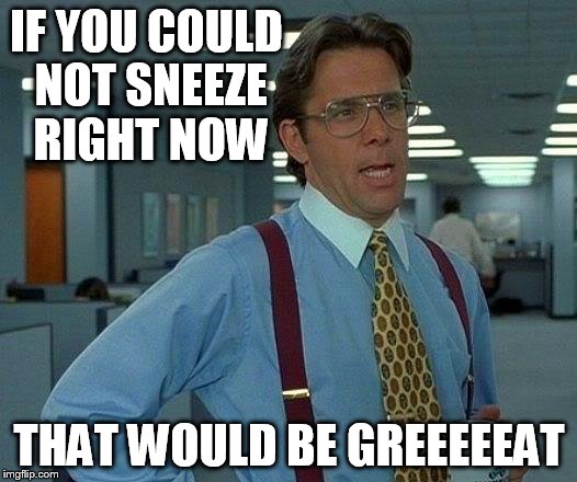 That Would Be Great Meme | IF YOU COULD NOT SNEEZE RIGHT NOW THAT WOULD BE GREEEEEAT | image tagged in memes,that would be great | made w/ Imgflip meme maker