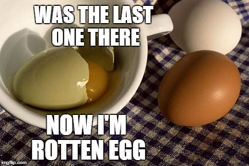 WAS THE LAST ONE THERE NOW I'M ROTTEN EGG | image tagged in eggs | made w/ Imgflip meme maker
