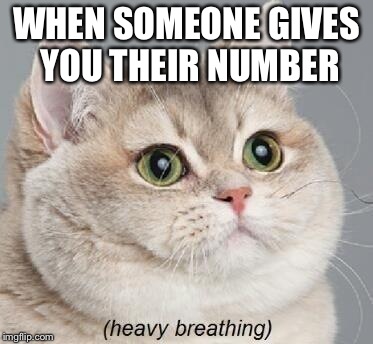 Heavy Breathing Cat Meme | WHEN SOMEONE GIVES YOU THEIR NUMBER | image tagged in memes,heavy breathing cat | made w/ Imgflip meme maker