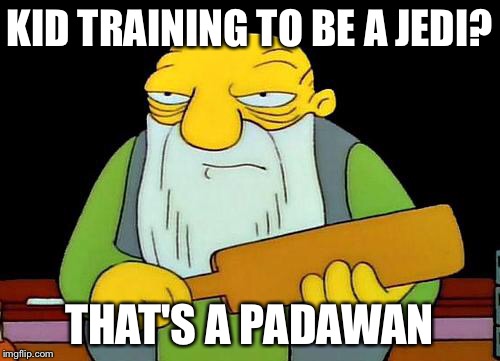 That's a paddlin' | KID TRAINING TO BE A JEDI? THAT'S A PADAWAN | image tagged in that's a paddlin',funny | made w/ Imgflip meme maker