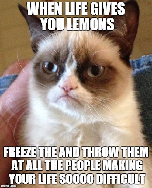 this is a re-post of an older meme. I love it so much. I hope this makes you laugh. | WHEN LIFE GIVES YOU LEMONS FREEZE THE AND THROW THEM AT ALL THE PEOPLE MAKING YOUR LIFE SOOOO DIFFICULT | image tagged in memes,grumpy cat | made w/ Imgflip meme maker