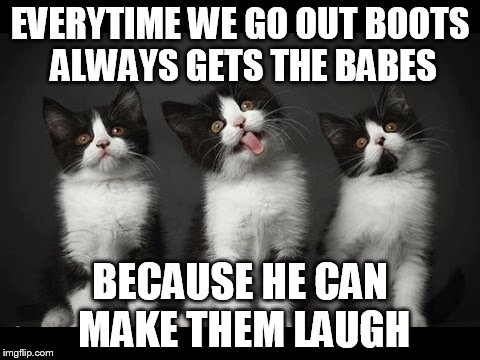 I don't get it, we're better looking.  | EVERYTIME WE GO OUT BOOTS ALWAYS GETS THE BABES BECAUSE HE CAN MAKE THEM LAUGH | image tagged in cats | made w/ Imgflip meme maker