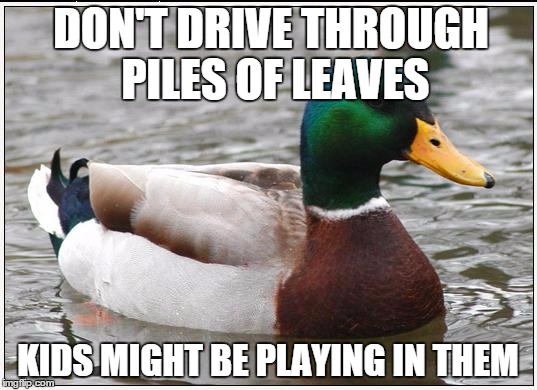 Actual Advice Mallard Meme | DON'T DRIVE THROUGH PILES OF LEAVES KIDS MIGHT BE PLAYING IN THEM | image tagged in memes,actual advice mallard,AdviceAnimals | made w/ Imgflip meme maker