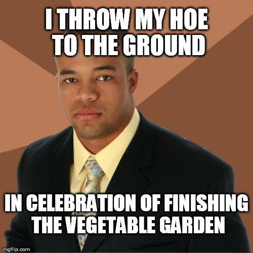 Hoe Down | I THROW MY HOE TO THE GROUND IN CELEBRATION OF FINISHING THE VEGETABLE GARDEN | image tagged in successful black guy,garden,hoe,memes,funny | made w/ Imgflip meme maker