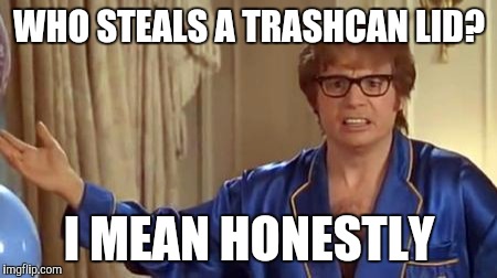 Austin Powers Honestly | WHO STEALS A TRASHCAN LID? I MEAN HONESTLY | image tagged in memes,austin powers honestly,AdviceAnimals | made w/ Imgflip meme maker