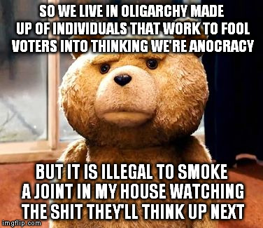 They're not really fighting. They're playing PR and taking bets on candidates. | SO WE LIVE IN OLIGARCHY MADE UP OF INDIVIDUALS THAT WORK TO FOOL VOTERS INTO THINKING WE'RE ANOCRACY BUT IT IS ILLEGAL TO SMOKE A JOINT IN M | image tagged in memes,ted,weed,politics,seriously face,reality tv | made w/ Imgflip meme maker