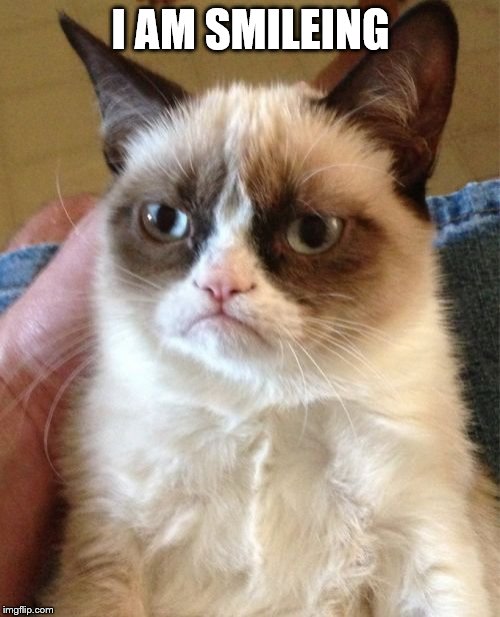 Grumpy Cat Meme | I AM SMILEING | image tagged in memes,grumpy cat | made w/ Imgflip meme maker