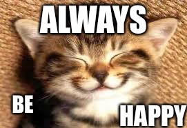 Always be happy and like this meme.Comment about the funniest jokes you know... | ALWAYS BE HAPPY | image tagged in happy cat | made w/ Imgflip meme maker