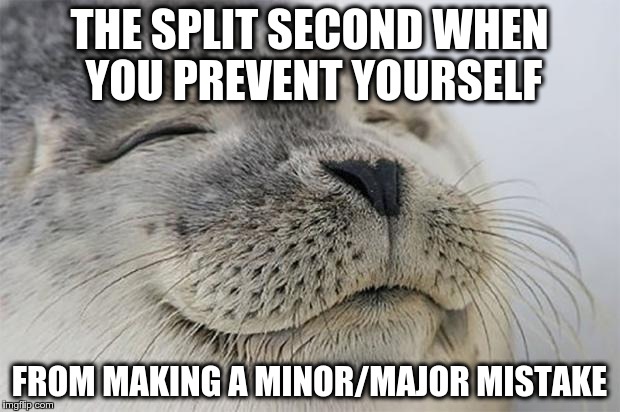 Almost threw away the candy bar instead of the wrapper | THE SPLIT SECOND WHEN YOU PREVENT YOURSELF FROM MAKING A MINOR/MAJOR MISTAKE | image tagged in memes,satisfied seal | made w/ Imgflip meme maker