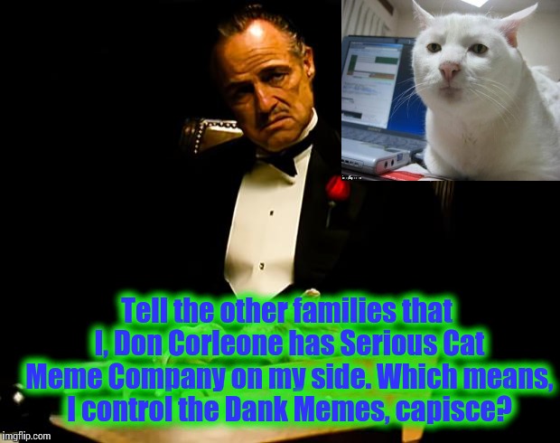 In a power play move, Don Corleone signs an exclusive contract with Serious Cat for control for the New York Meme Market. | Tell the other families that I, Don Corleone has Serious Cat Meme Company on my side. Which means, I control the Dank Memes, capisce? | image tagged in godfather,memes,meme,funny memes,dank meme,front page | made w/ Imgflip meme maker