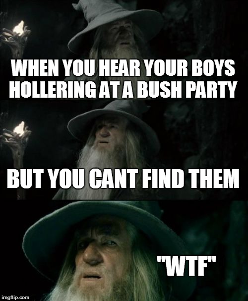 Confused Gandalf Meme | WHEN YOU HEAR YOUR BOYS HOLLERING AT A BUSH PARTY BUT YOU CANT FIND THEM "WTF" | image tagged in memes,confused gandalf | made w/ Imgflip meme maker