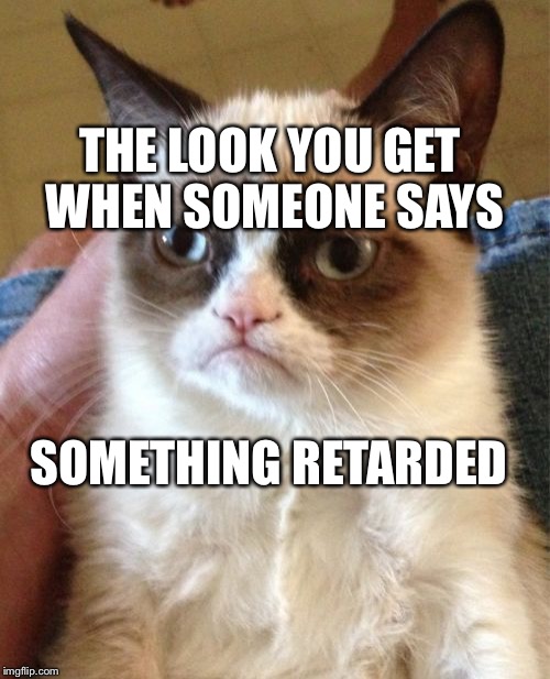 Grumpy Cat Meme | THE LOOK YOU GET WHEN SOMEONE SAYS SOMETHING RETARDED | image tagged in memes,grumpy cat | made w/ Imgflip meme maker