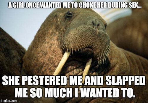 Sexual Deviant Walrus Meme Imgflip