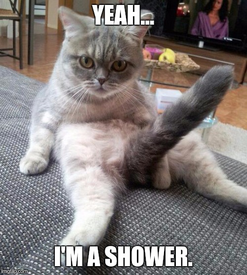 Sexy Cat | YEAH... I'M A SHOWER. | image tagged in memes,sexy cat | made w/ Imgflip meme maker