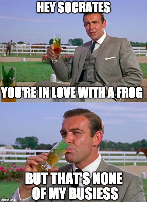Sean | HEY SOCRATES BUT THAT'S NONE OF MY BUSIESS YOU'RE IN LOVE WITH A FROG | image tagged in sean | made w/ Imgflip meme maker