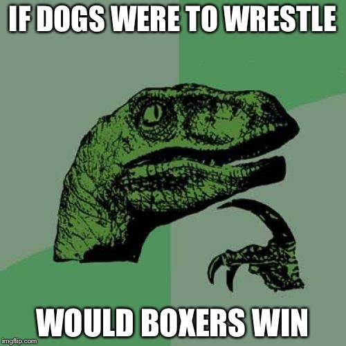 Philosoraptor Meme | IF DOGS WERE TO WRESTLE WOULD BOXERS WIN | image tagged in memes,philosoraptor | made w/ Imgflip meme maker