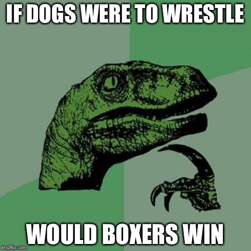 Philosoraptor | IF DOGS WERE TO WRESTLE WOULD BOXERS WIN | image tagged in memes,philosoraptor | made w/ Imgflip meme maker