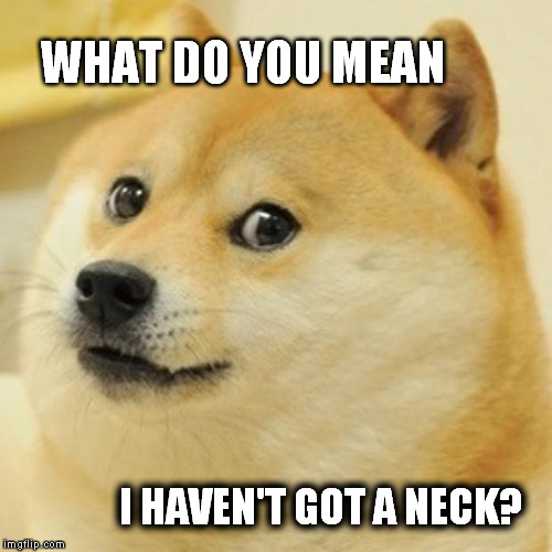 Doge | WHAT DO YOU MEAN I HAVEN'T GOT A NECK? | image tagged in memes,doge | made w/ Imgflip meme maker