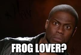 FROG LOVER? | made w/ Imgflip meme maker
