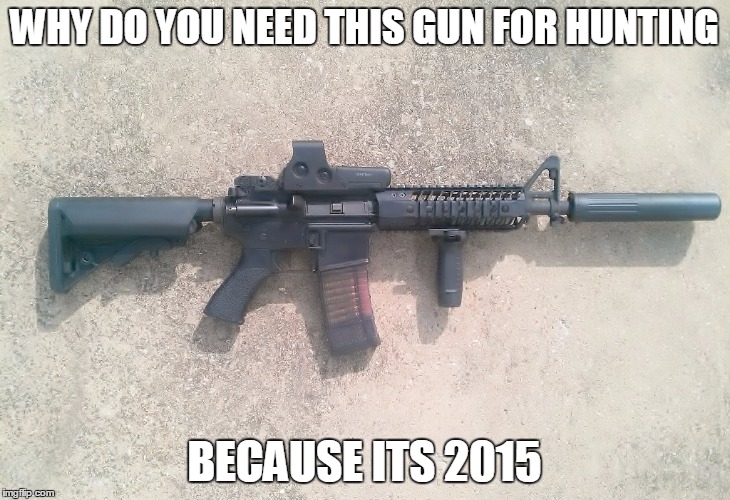 AR15 | WHY DO YOU NEED THIS GUN FOR HUNTING BECAUSE ITS 2015 | image tagged in ar15 | made w/ Imgflip meme maker