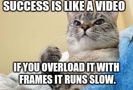 Success Cat | SUCCESS IS LIKE A VIDEO IF YOU OVERLOAD IT WITH FRAMES IT RUNS SLOW. | image tagged in success cat | made w/ Imgflip meme maker