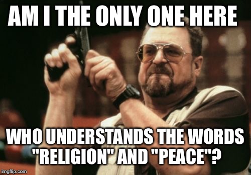 Am I The Only One Around Here Meme | AM I THE ONLY ONE HERE WHO UNDERSTANDS THE WORDS "RELIGION" AND "PEACE"? | image tagged in memes,am i the only one around here | made w/ Imgflip meme maker