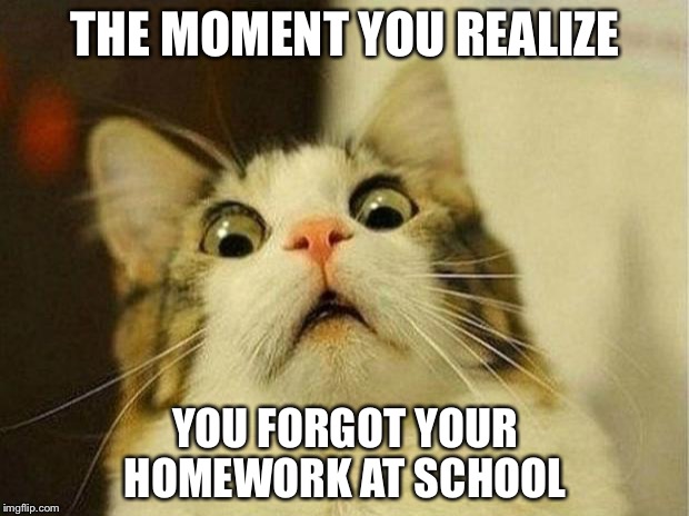 Scared Cat Meme | THE MOMENT YOU REALIZE YOU FORGOT YOUR HOMEWORK AT SCHOOL | image tagged in memes,scared cat | made w/ Imgflip meme maker