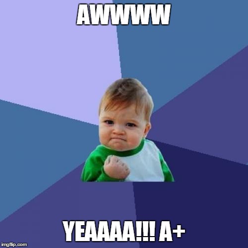 Success Kid | AWWWW YEAAAA!!! A+ | image tagged in memes,success kid | made w/ Imgflip meme maker