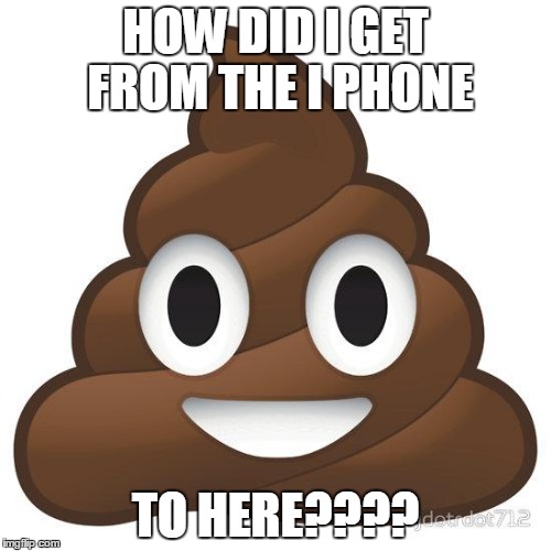 poop | HOW DID I GET FROM THE I PHONE TO HERE???? | image tagged in poop | made w/ Imgflip meme maker