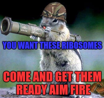 Bazooka Squirrel | YOU WANT THESE RIBOSOMES COME AND GET THEM READY AIM FIRE | image tagged in memes,bazooka squirrel | made w/ Imgflip meme maker