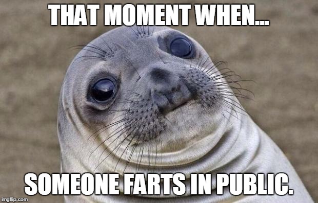 Awkward Moment Sealion Meme | THAT MOMENT WHEN... SOMEONE FARTS IN PUBLIC. | image tagged in memes,awkward moment sealion | made w/ Imgflip meme maker