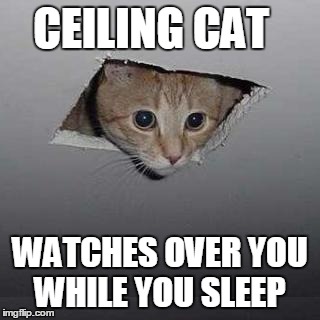 Ceiling Cat | CEILING CAT WATCHES OVER YOU WHILE YOU SLEEP | image tagged in ceiling cat | made w/ Imgflip meme maker