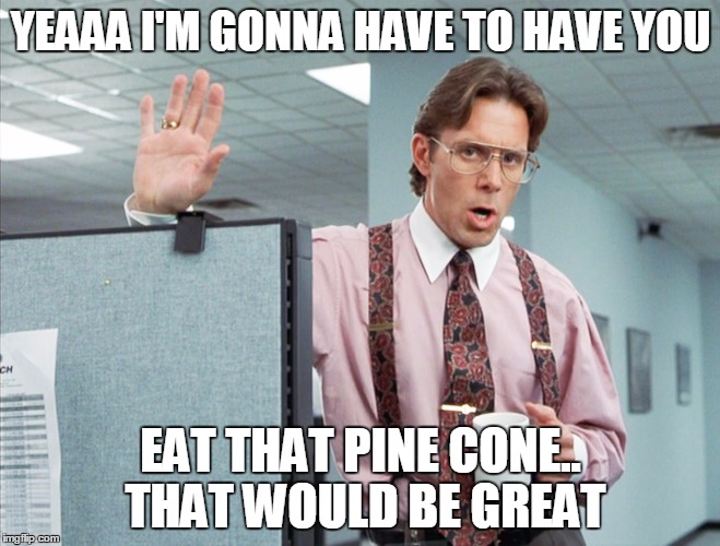 Lumberg | YEAAA I'M GONNA HAVE TO HAVE YOU EAT THAT PINE CONE.. THAT WOULD BE GREAT | image tagged in office space | made w/ Imgflip meme maker