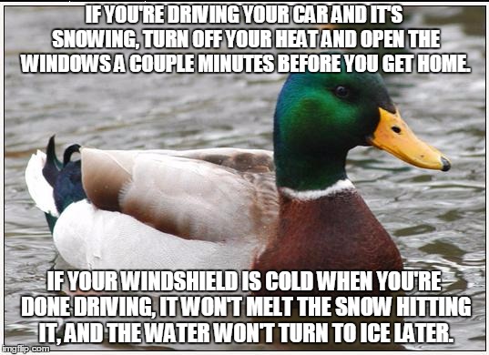 Actual Advice Mallard | IF YOU'RE DRIVING YOUR CAR AND IT'S SNOWING, TURN OFF YOUR HEAT AND OPEN THE WINDOWS A COUPLE MINUTES BEFORE YOU GET HOME. IF YOUR WINDSHIEL | image tagged in memes,actual advice mallard,AdviceAnimals | made w/ Imgflip meme maker