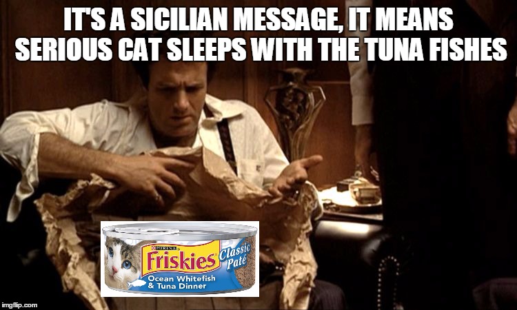 IT'S A SICILIAN MESSAGE, IT MEANS SERIOUS CAT SLEEPS WITH THE TUNA FISHES | made w/ Imgflip meme maker