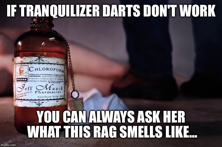 IF TRANQUILIZER DARTS DON'T WORK YOU CAN ALWAYS ASK HER WHAT THIS RAG SMELLS LIKE... | made w/ Imgflip meme maker