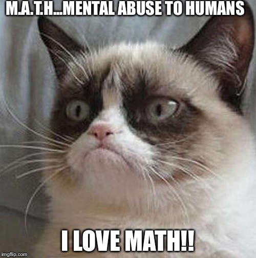 Angry cat | M.A.T.H...MENTAL ABUSE TO HUMANS I LOVE MATH!! | image tagged in angry cat | made w/ Imgflip meme maker