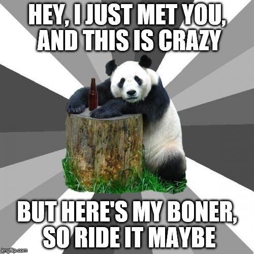 Fine! Or call me, just stop looking at me like that! | HEY, I JUST MET YOU, AND THIS IS CRAZY BUT HERE'S MY BONER, SO RIDE IT MAYBE | image tagged in memes,pickup line panda | made w/ Imgflip meme maker